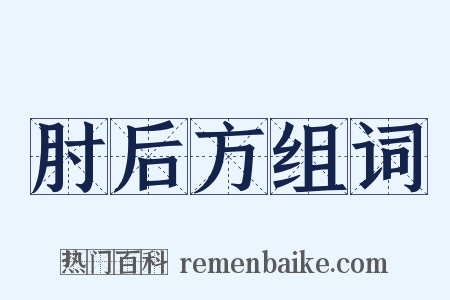 肘后方组词是什么意思的图片